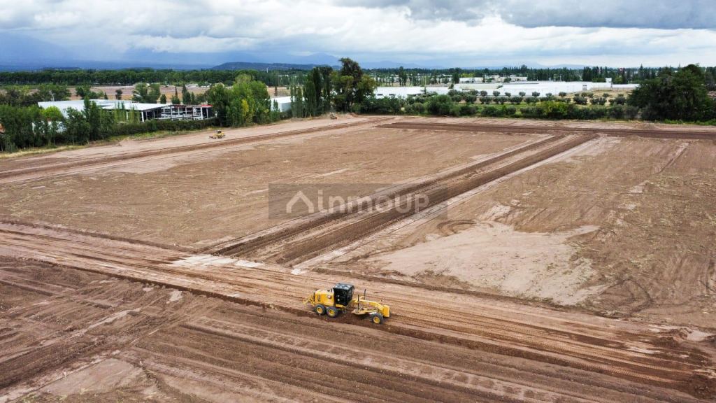 Lote en Venta en Lujan de Cuyo, Mendoza