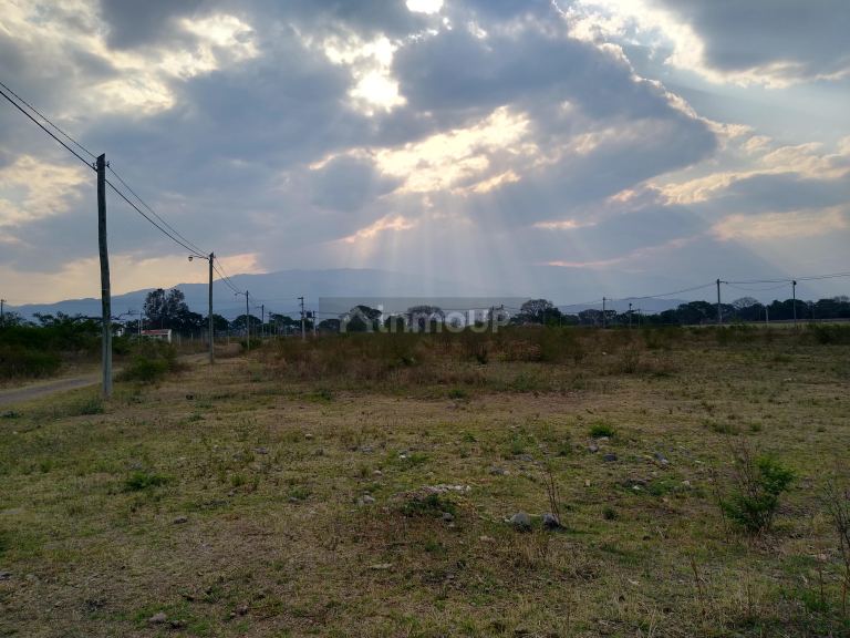 Loteo en Venta en Chicoana, Salta