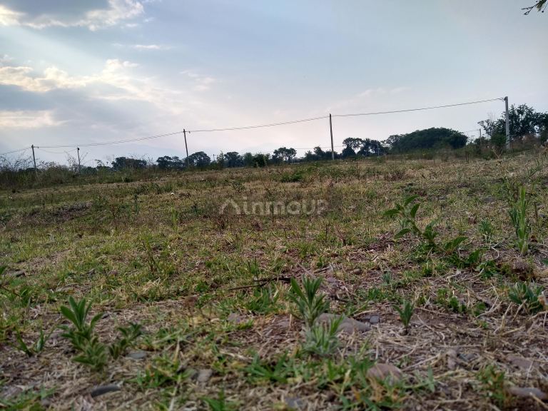 Loteo en Venta en Chicoana, Salta