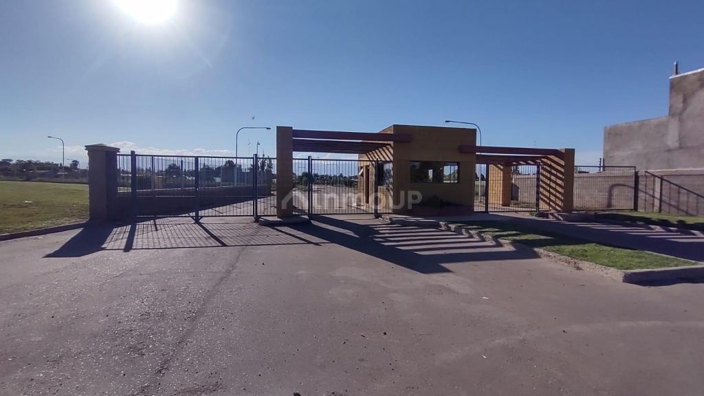 Lote en Venta en Maipu, Mendoza