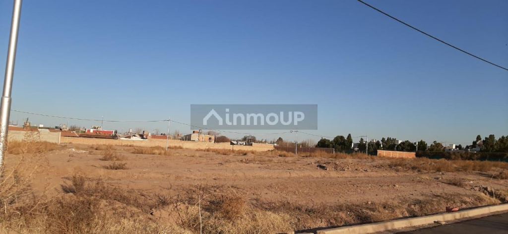 Lote en Venta en Lujan de Cuyo, Mendoza