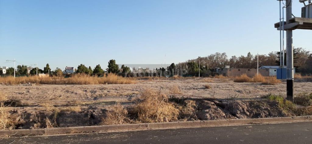 Lote en Venta en Lujan de Cuyo, Mendoza