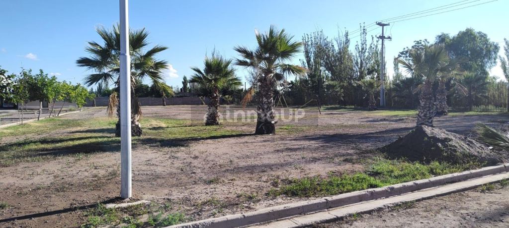 Lote en Venta en Maipu, Mendoza