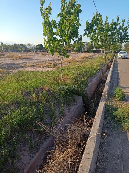 Lote en Venta en Lujan de Cuyo, Mendoza