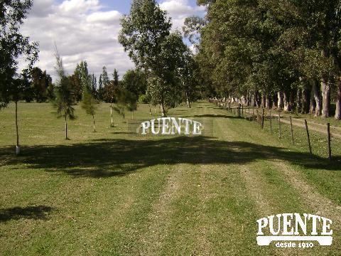 Casa en Venta en Coronel Brandsen, Buenos Aires Interior