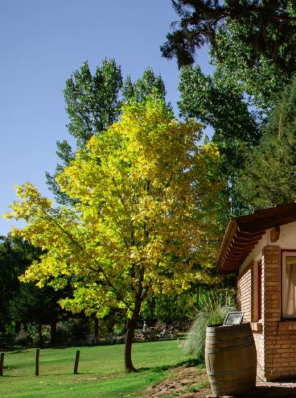 Cabaña en Venta en Las Heras, Mendoza