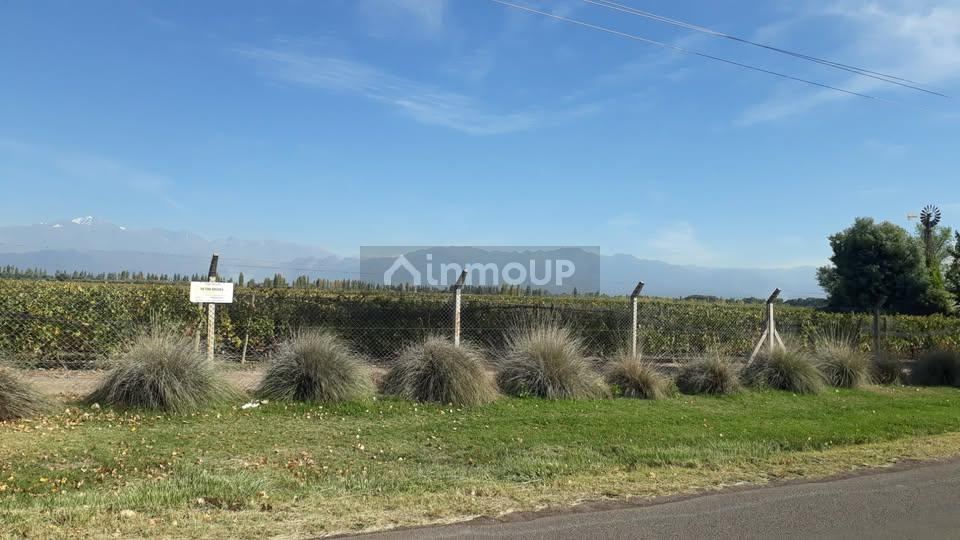Campo en Venta en Lujan de Cuyo, Mendoza
