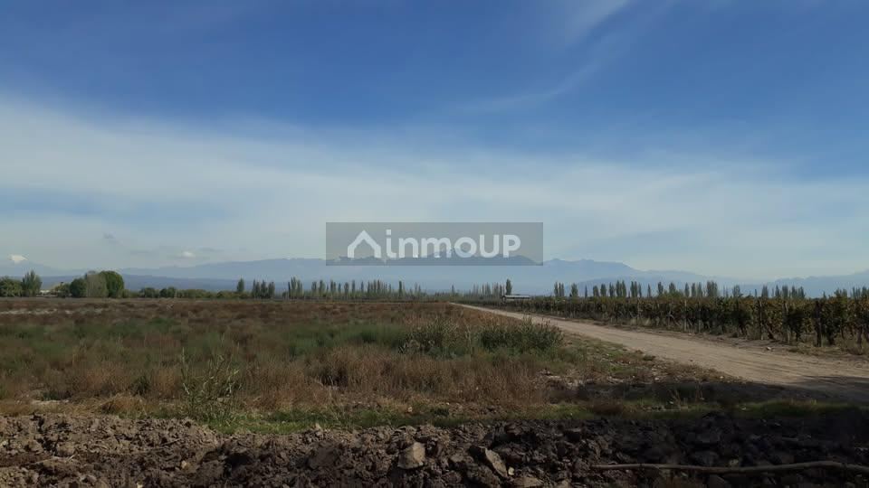 Campo en Venta en Lujan de Cuyo, Mendoza