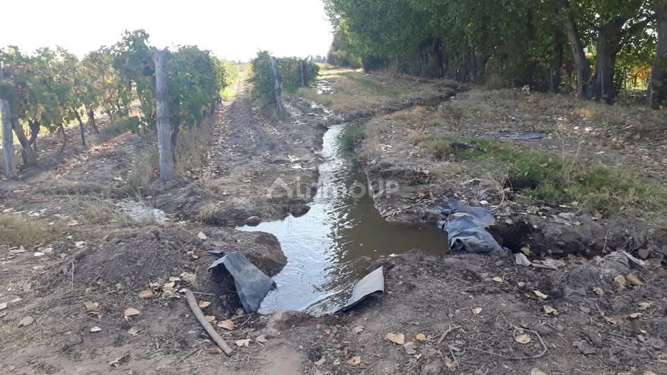 Campo en Venta en Lujan de Cuyo, Mendoza