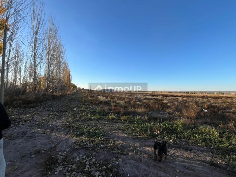 Campo en Venta en Lujan de Cuyo, Mendoza