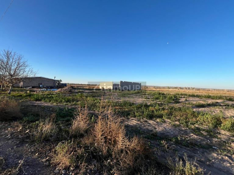 Campo en Venta en Lujan de Cuyo, Mendoza