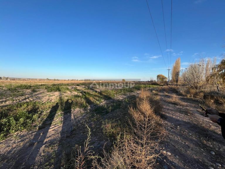 Campo en Venta en Lujan de Cuyo, Mendoza