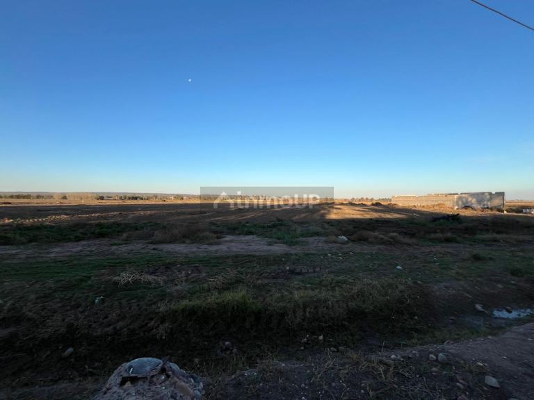 Campo en Venta en Lujan de Cuyo, Mendoza