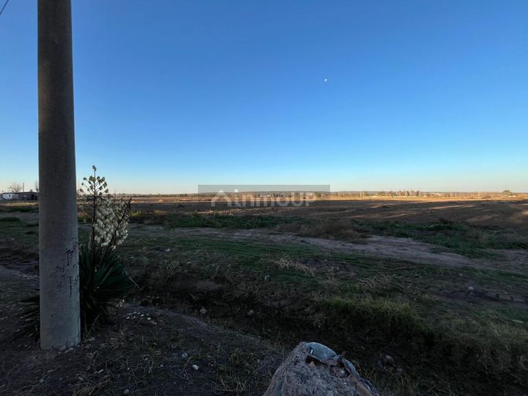 Campo en Venta en Lujan de Cuyo, Mendoza