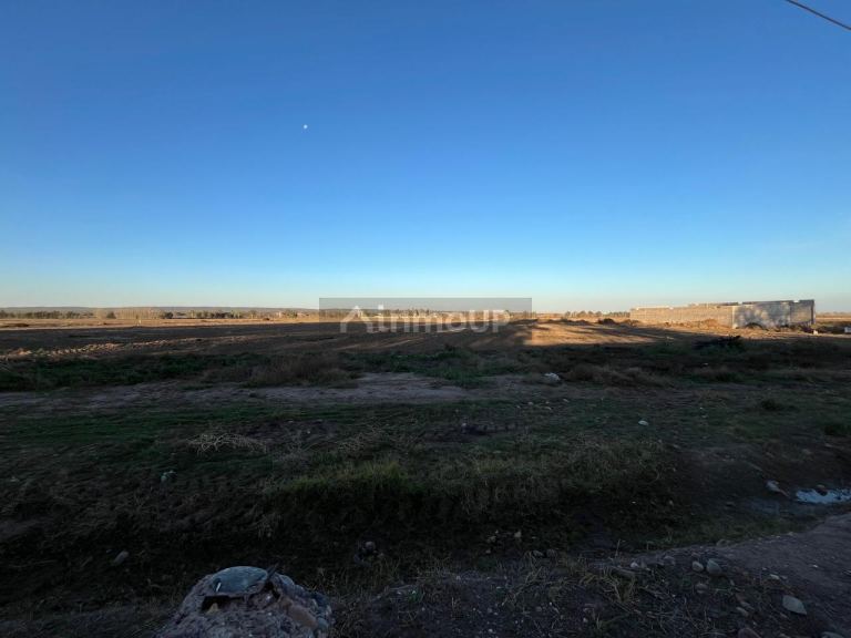 Campo en Venta en Lujan de Cuyo, Mendoza