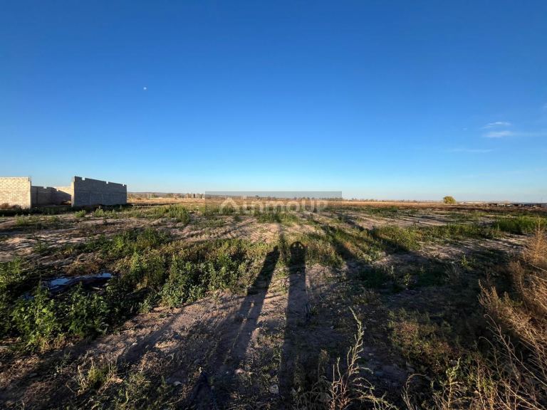 Campo en Venta en Lujan de Cuyo, Mendoza