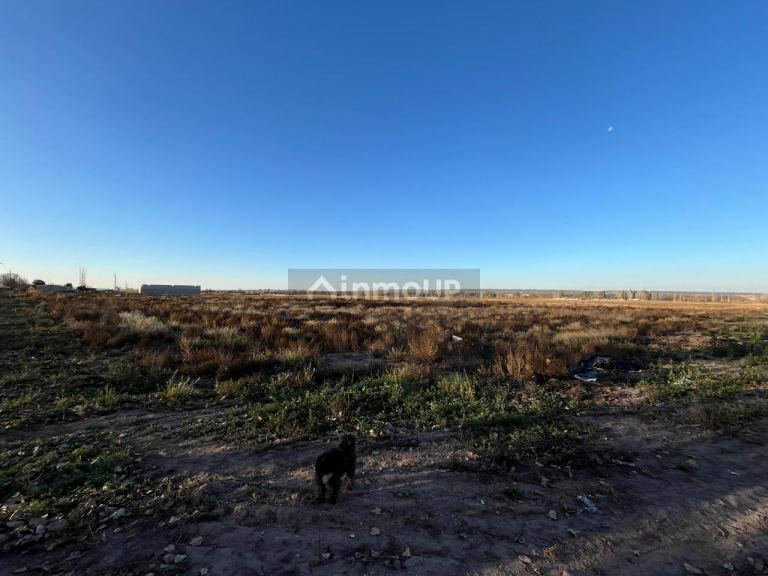 Campo en Venta en Lujan de Cuyo, Mendoza
