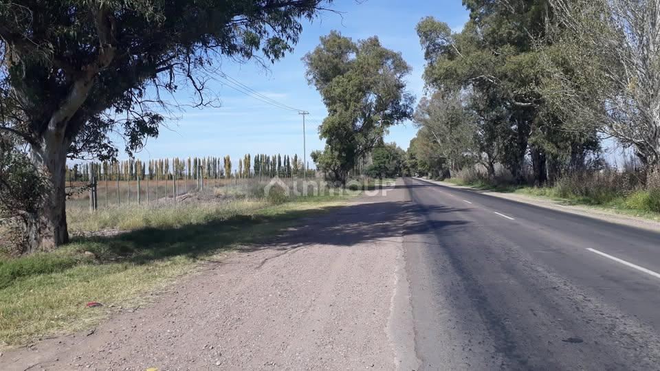 Campo en Venta en Lujan de Cuyo, Mendoza