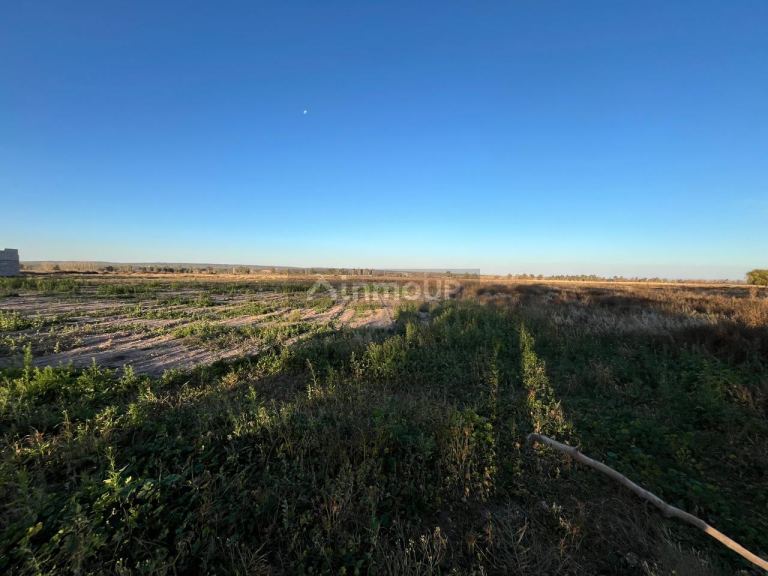 Campo en Venta en Lujan de Cuyo, Mendoza
