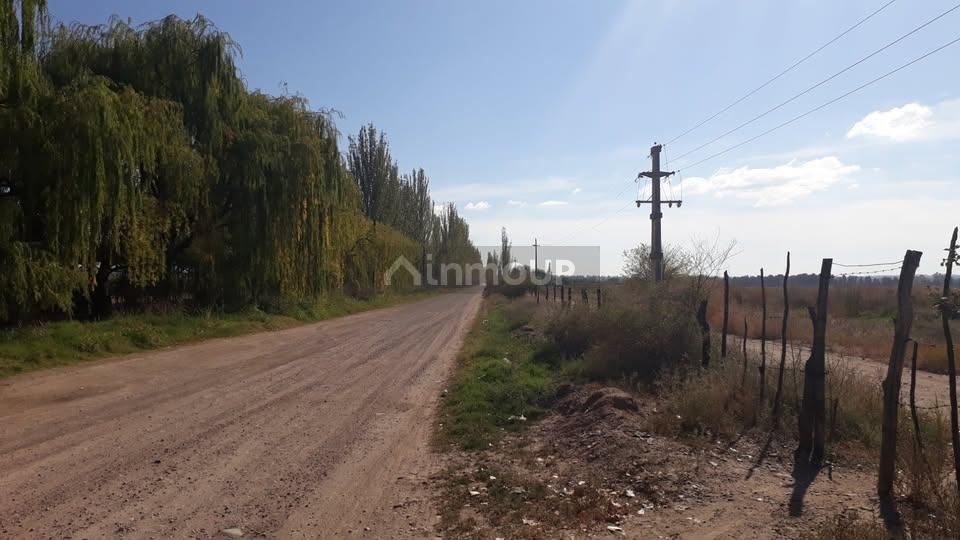 Campo en Venta en Lujan de Cuyo, Mendoza