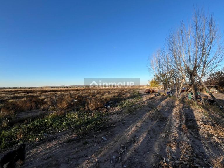 Campo en Venta en Lujan de Cuyo, Mendoza