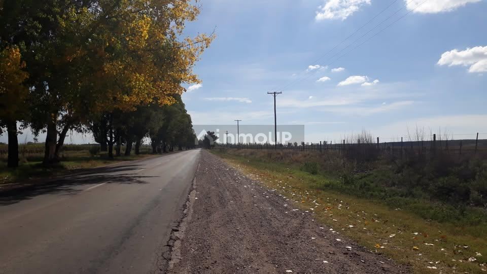 Campo en Venta en Lujan de Cuyo, Mendoza