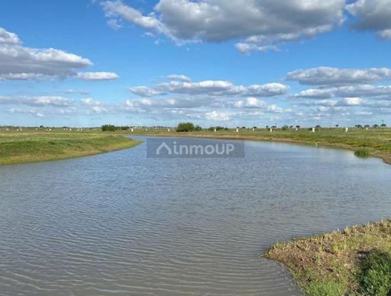 Terreno en Venta en Berazategui, G.B.A. Zona Sur