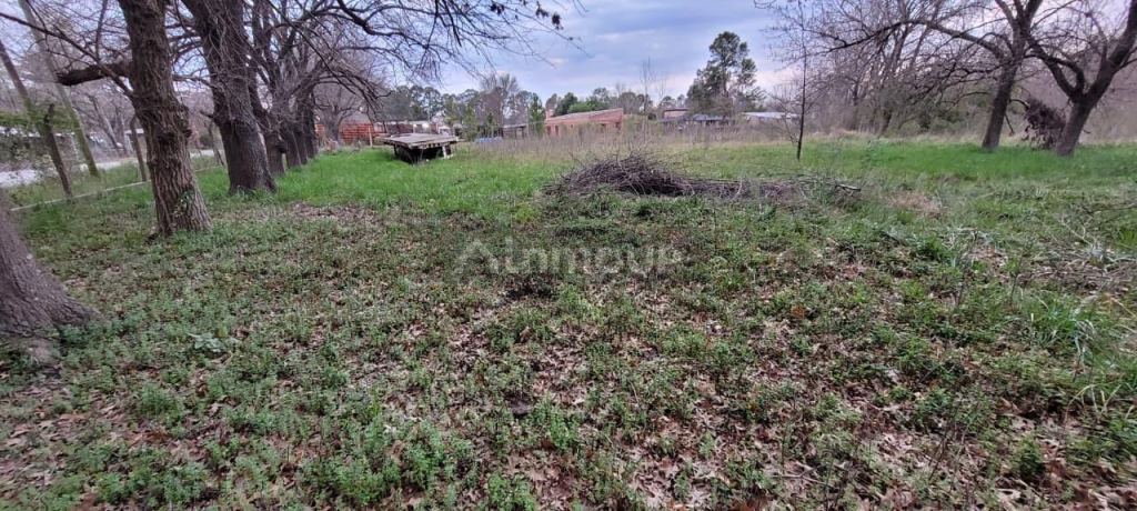 Terreno en Venta en Campana, G.B.A. Zona Norte