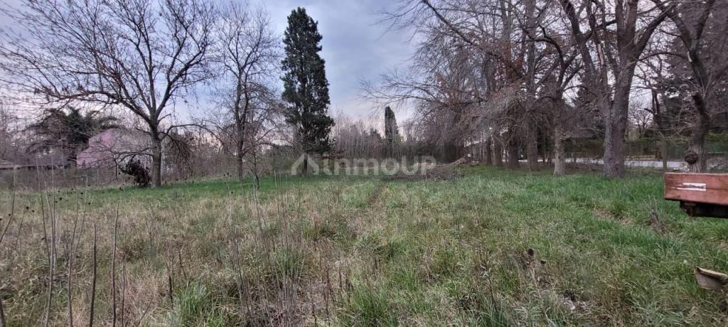 Terreno en Venta en Campana, G.B.A. Zona Norte
