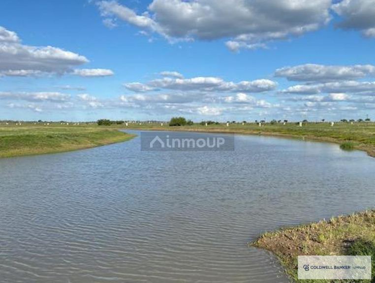Terreno en Venta en Berazategui, G.B.A. Zona Sur - USD 54.000 | Inmoup - 8
