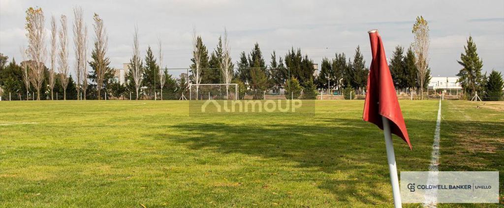 Terreno en Venta en Berazategui, G.B.A. Zona Sur - USD 63.000 | Inmoup - 7