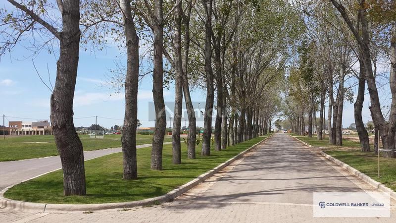 Terreno en Venta en Presidente Peron, G.B.A. Zona Sur