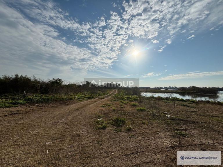 Terreno en Venta en Berazategui, G.B.A. Zona Sur - USD 8.500.000 | Inmoup - 14
