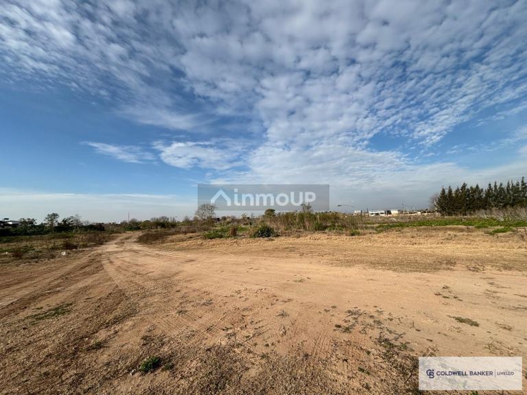 Terreno en Venta en Berazategui, G.B.A. Zona Sur - USD 8.500.000 | Inmoup - 13