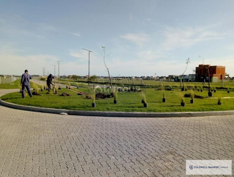 Terreno en Venta en Berazategui, G.B.A. Zona Sur - USD 80.000 | Inmoup - 9