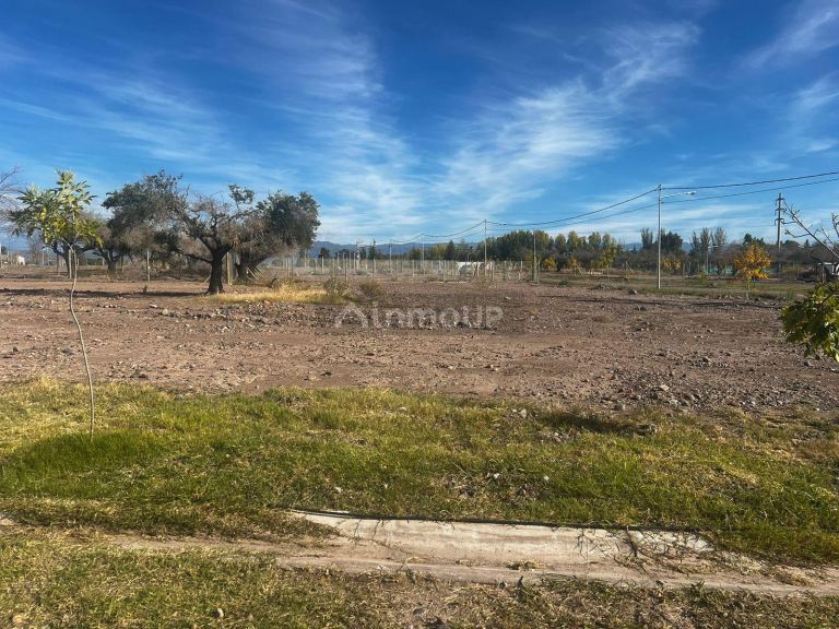 Lote en Venta en Maipu, Mendoza