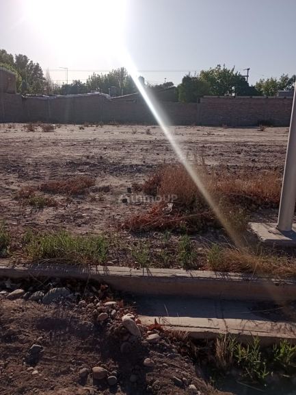 Lote en Venta en Lujan de Cuyo, Mendoza