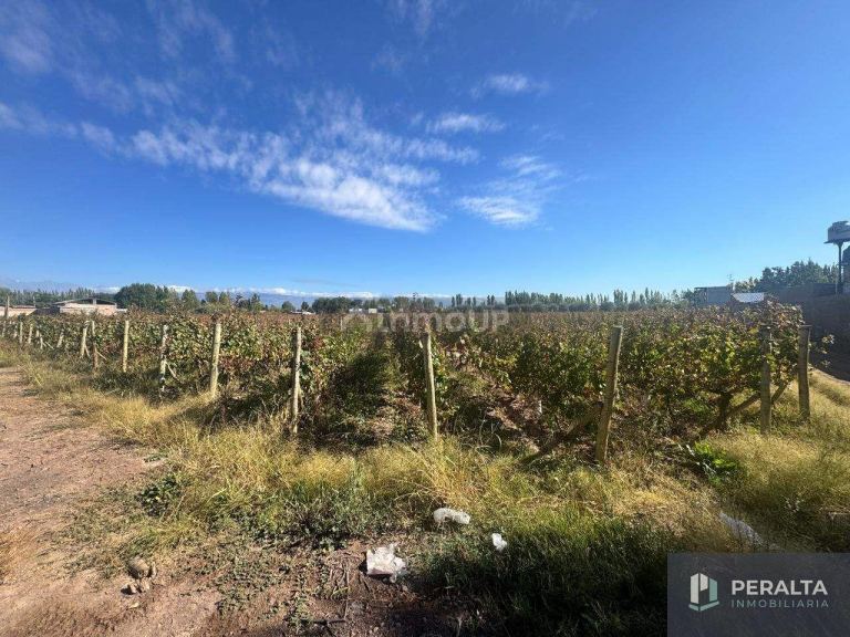 Terreno en Venta en Maipu, Mendoza