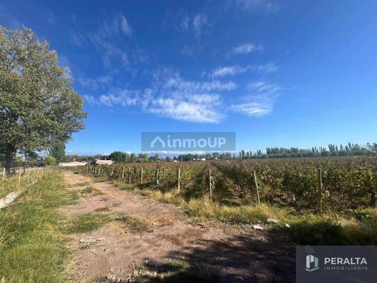 Terreno en Venta en Maipu, Mendoza