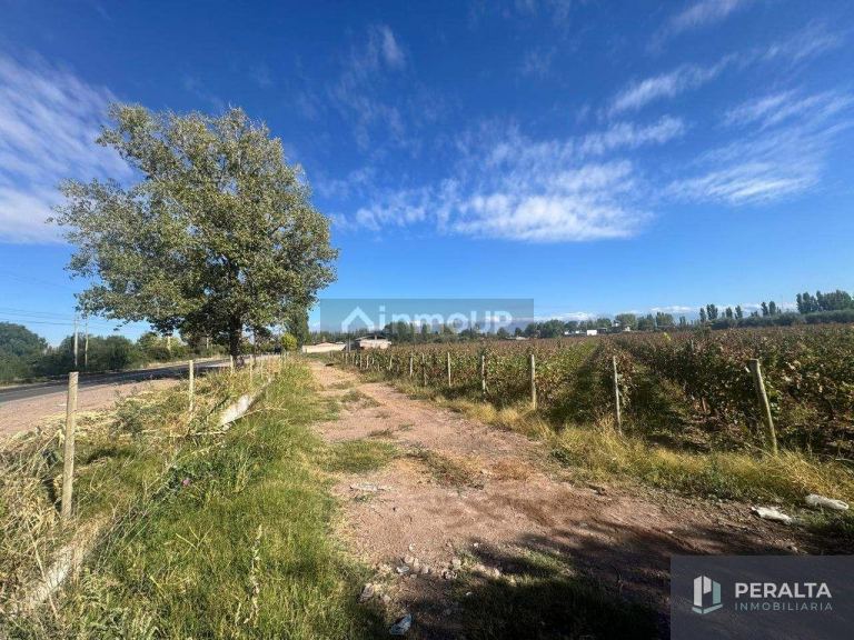 Terreno en Venta en Maipu, Mendoza