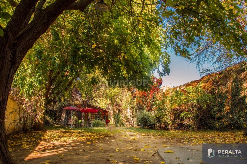 Terreno en Venta en Lujan de Cuyo, Mendoza