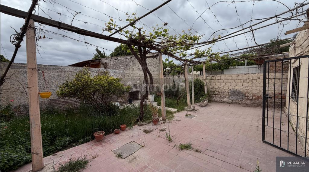 San Martin calle San Martín Norte 738, palmira mendoza
