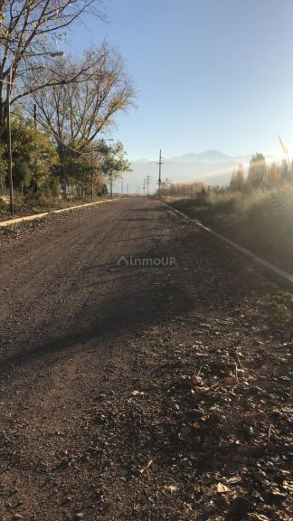 Lote en Venta en Lujan de Cuyo, Mendoza