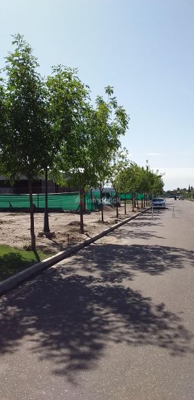 Lote en Venta en Maipu, Mendoza