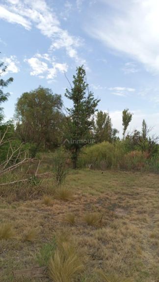 Finca en Venta en General alvear, Mendoza