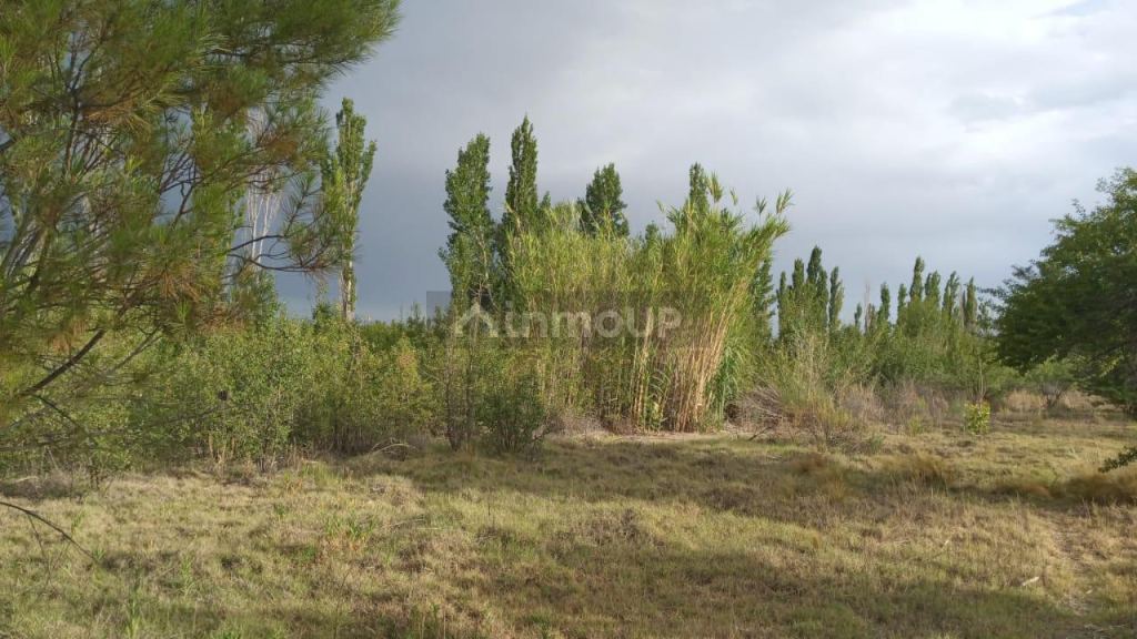 Finca en Venta en General alvear, Mendoza
