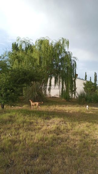 Finca en Venta en General alvear, Mendoza