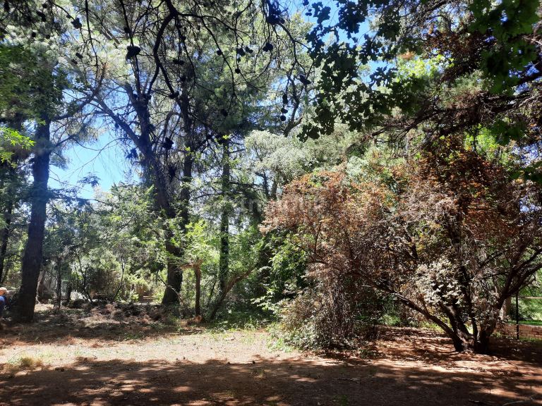 Lote en Venta en Lujan de Cuyo, Mendoza