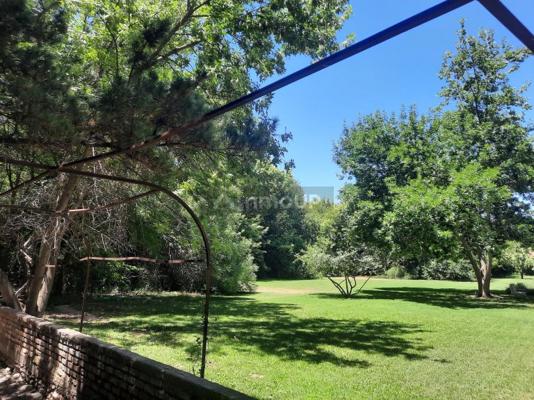 Lote en Venta en Lujan de Cuyo, Mendoza