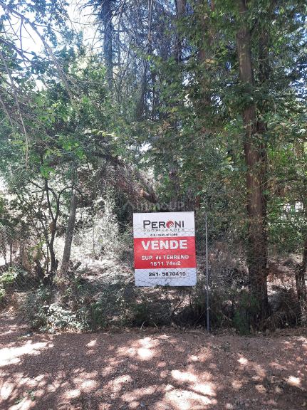 Lote en Venta en Lujan de Cuyo, Mendoza